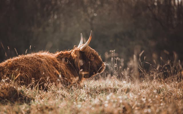 Jak przygotować się na najlepsze mega promocje: krok po kroku